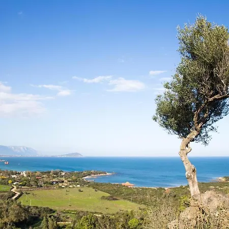 Mediterranean Deluxe