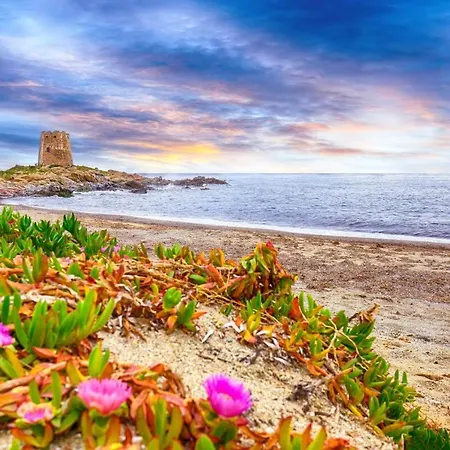 Mediterranean Deluxe Lejlighed *