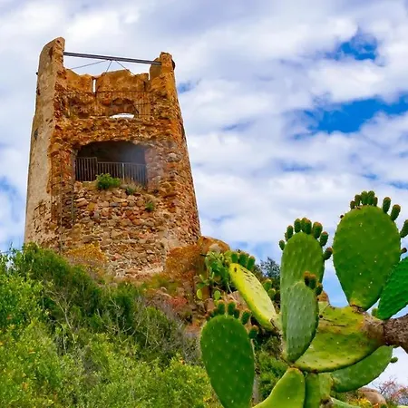 Mediterranean Deluxe *