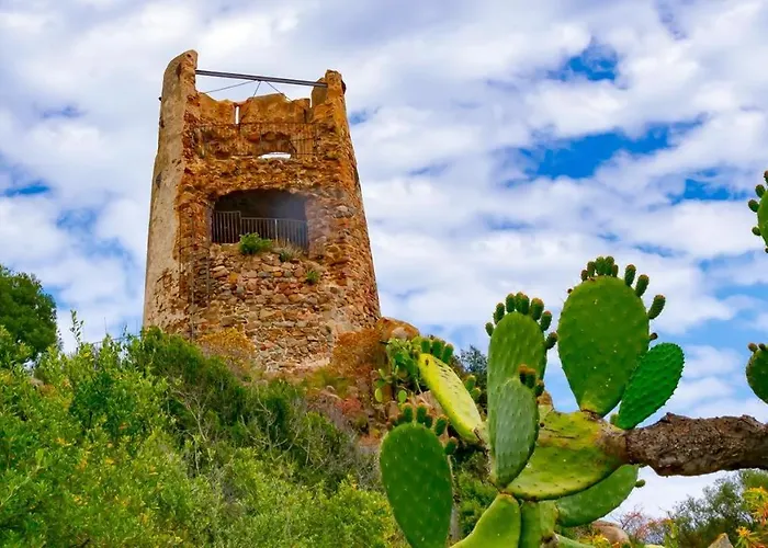 Mediterranean Deluxe *