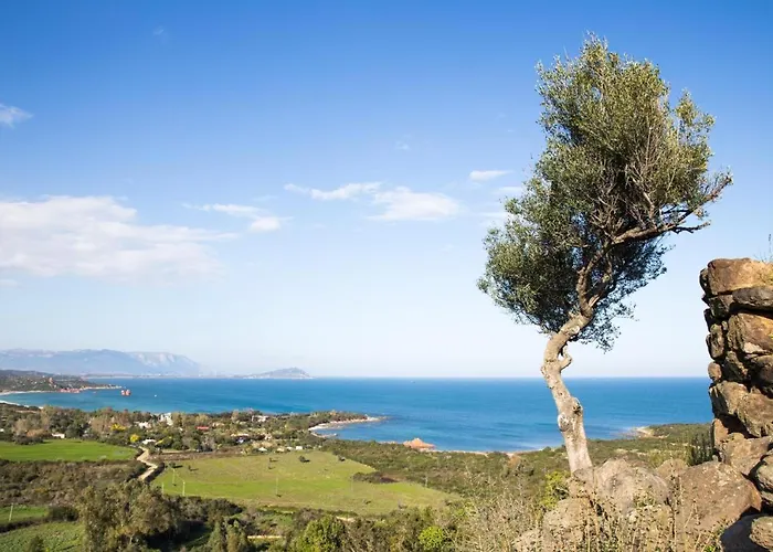 Mediterranean Deluxe